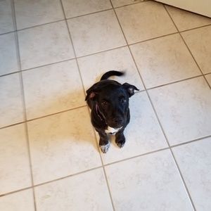 Meet your Posher, Joann